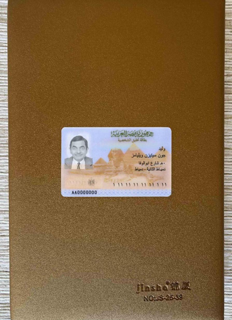 Realistic Egypt ID photolook sample